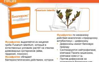 Показания к применению капель в нос Биопарокс для взрослых и детей