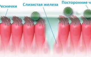 Свойства и аналоги капель в нос Снуп для взрослых и детей