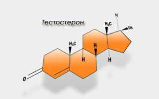 Норма тестостерона у мужчин (таблица) и возможные отклонения