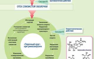 Эффективность спрея и капель в нос Синупрет для взрослых и детей