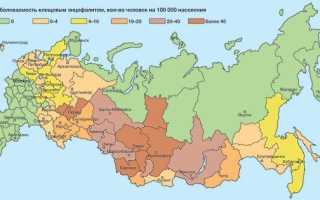 Энцефалит: прививка, симптомы, лечение и профилактика
