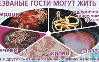 Профилактические меры от глистов у взрослых: список лучших лекарств, таблеток