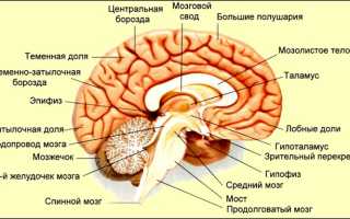 Эффективные методы лечения кисты шишковидной железы головного мозга