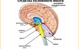Симптомы гематомы головного мозга