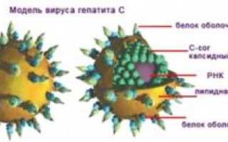 Современные методы лечения гепатита С. Препараты, которые действительно работают