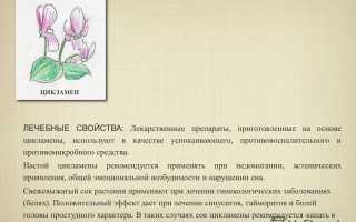 Капли в нос Цикламен и препараты на его основе