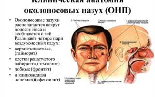 Причины возникновения и способы быстрого лечения ринита и синусита