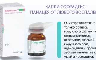 Можно ли капать в нос детям препарат Софрадекс и его аналоги