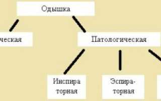 Диспноэ (одышка) в покое: причины развития и стоит ли беспокоиться?