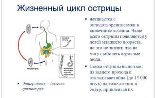 Способы самостоятельного избавления от остриц дома
