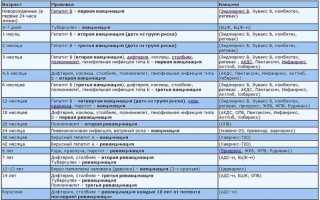 График прививок для детей