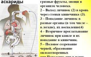Заражение ребенка аскаридами