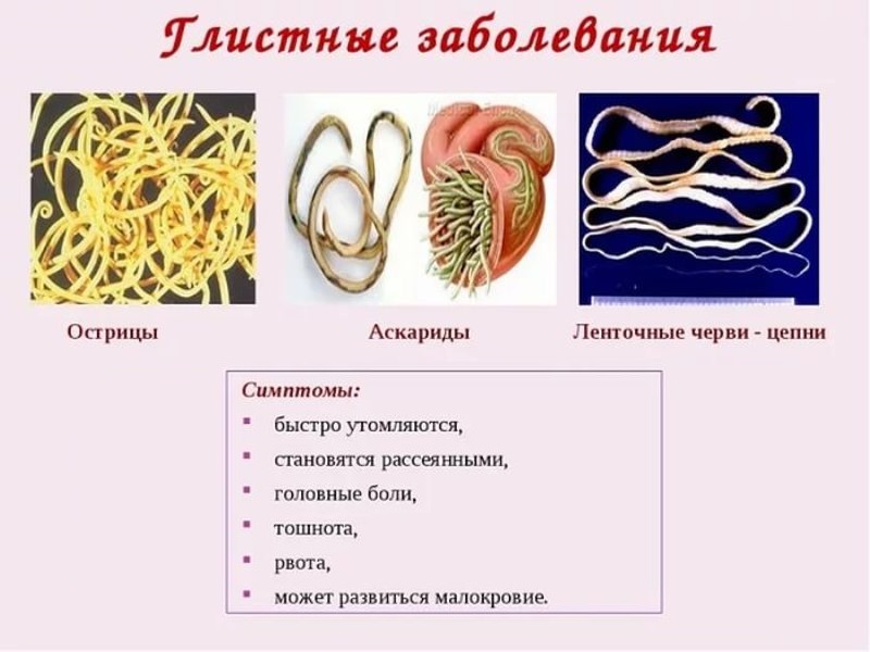 Признаки глистной инвазии
