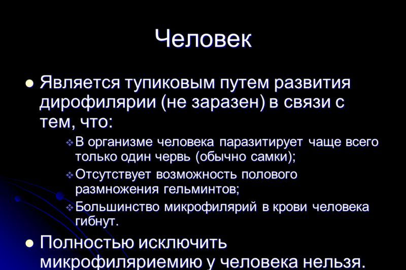 Дирофилярия