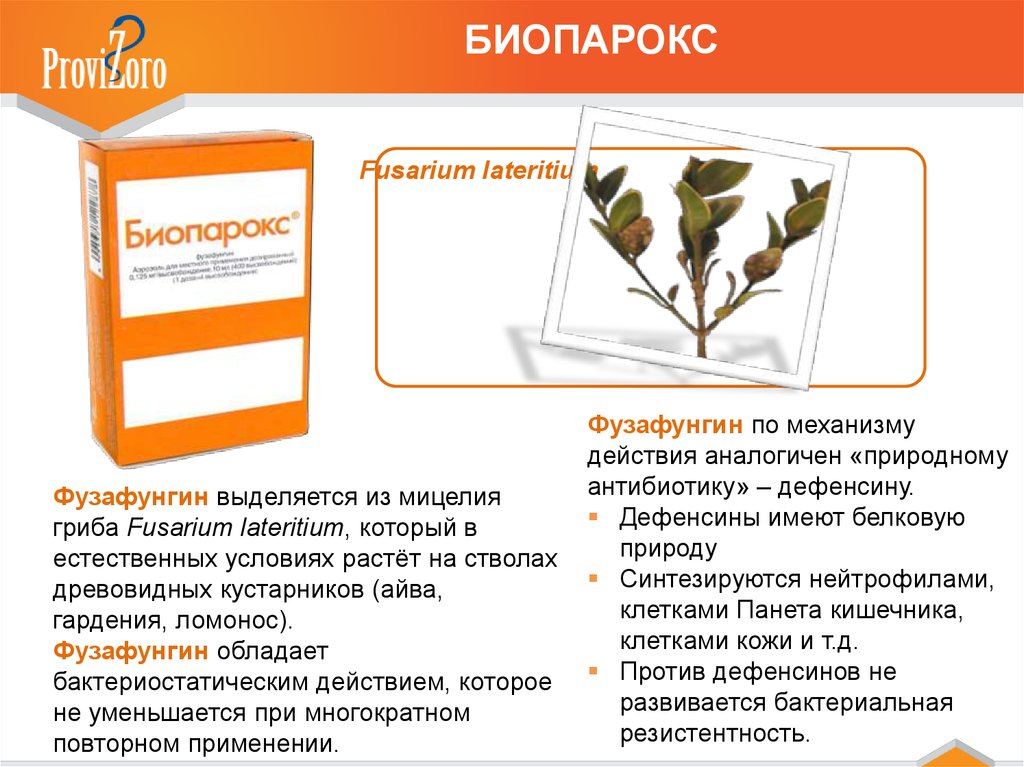 Состав и действие