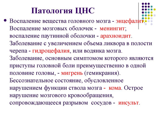 Патологии ЦНС
