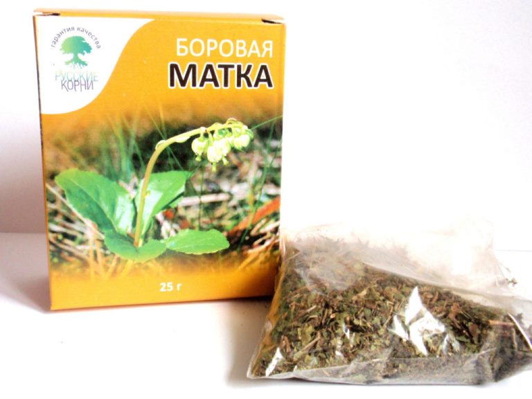 Боровая матка при цистите