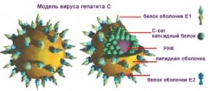 Современные методы лечения гепатита С. Препараты, которые действительно работают