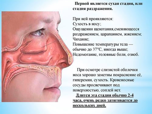 Сухости в слизистых