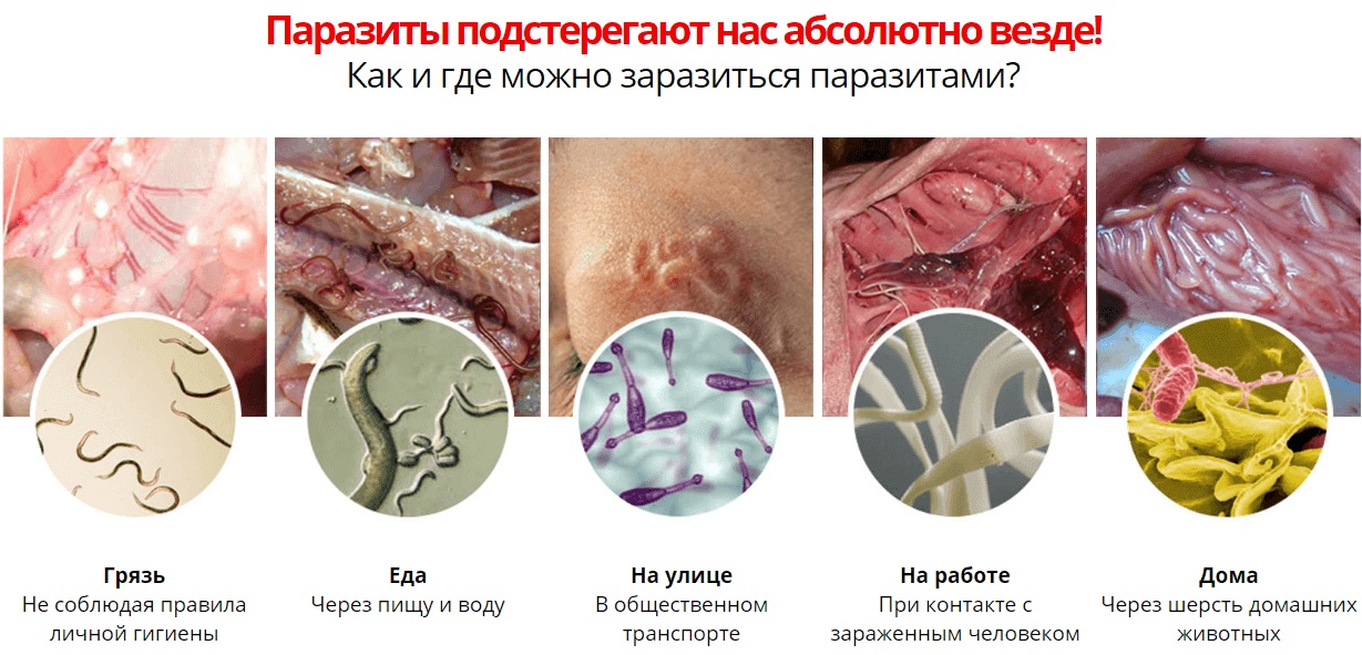 Как и где можно заразиться