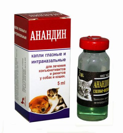 Анандин