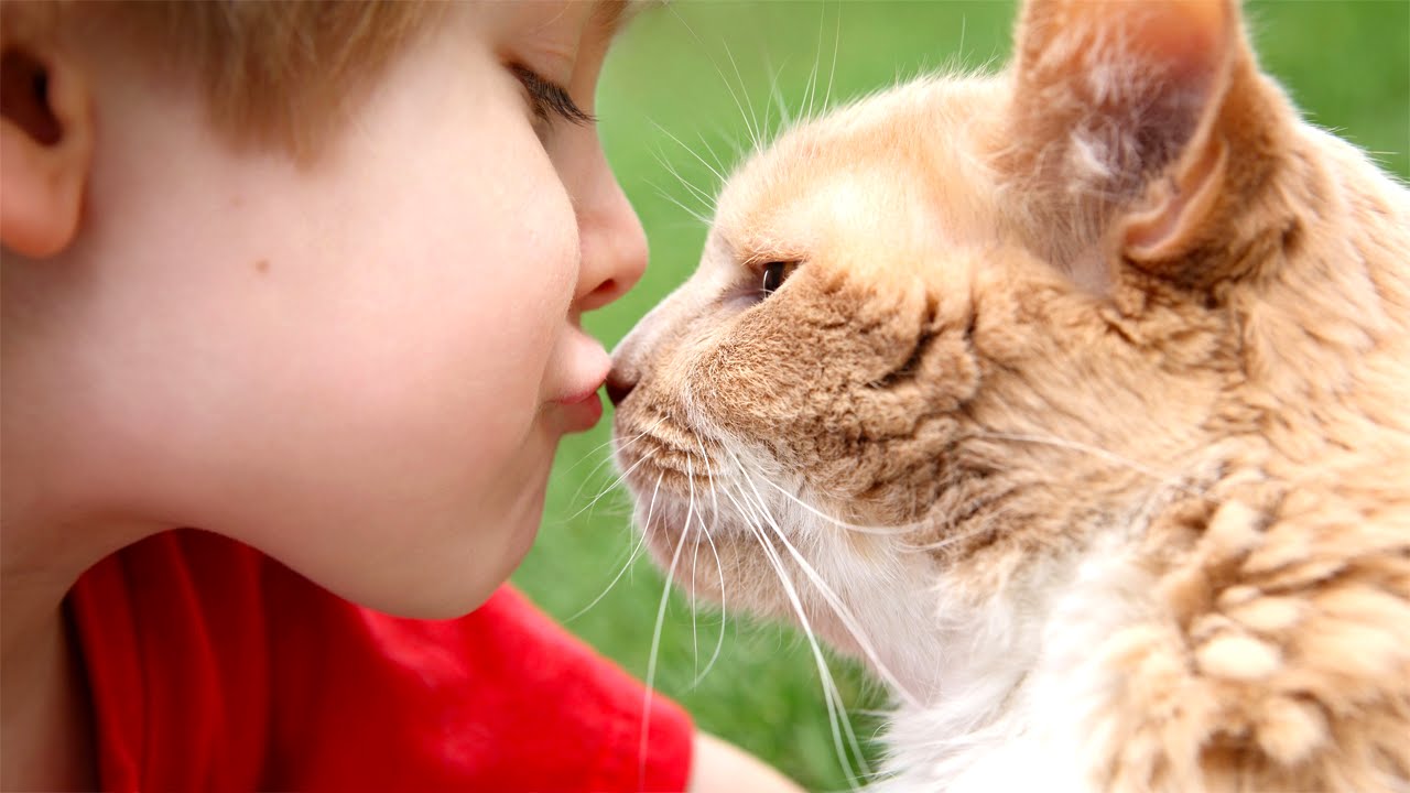 Если животное заболело, его нужно изолировать