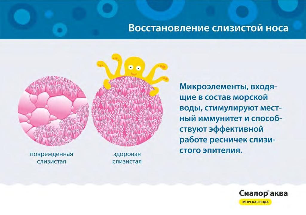 Восстановление слизистой носа