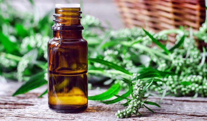 Настой из полыни