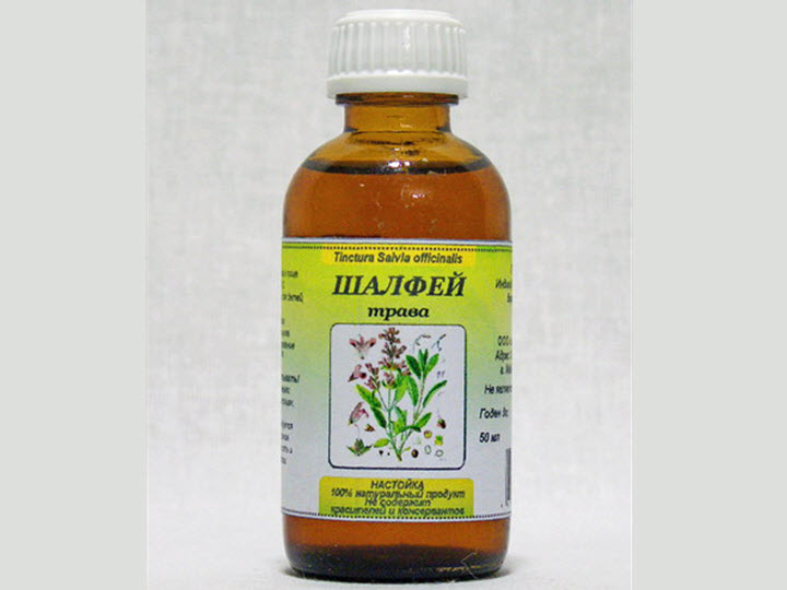 Настойка из шалфея