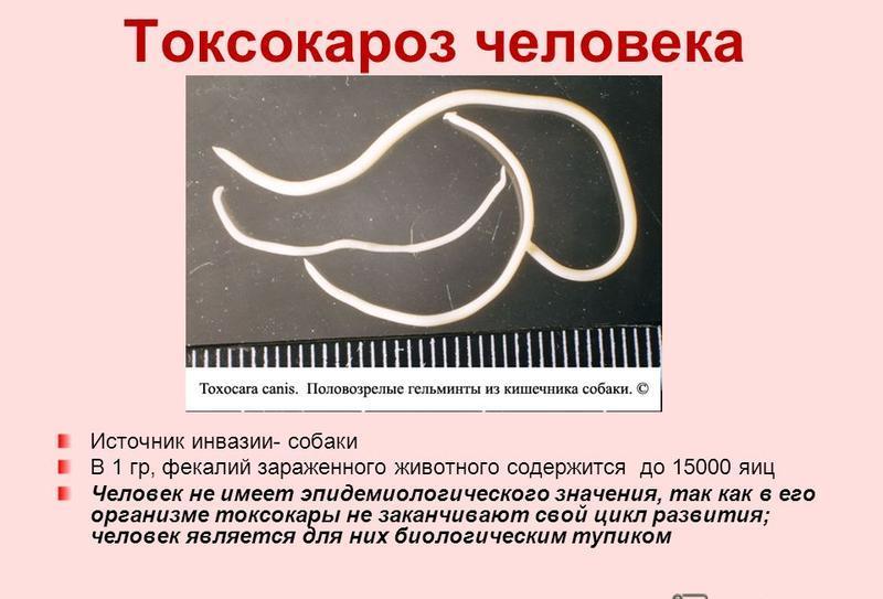 Описание патологии