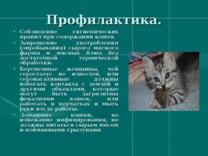 Профилактические меры