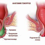 Помощь организму в восстановлении после запоя