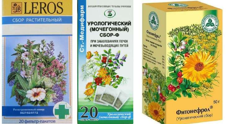 сбор трав от цистита