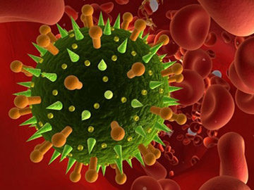 helicobacter