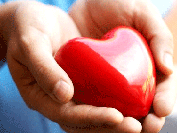 donor