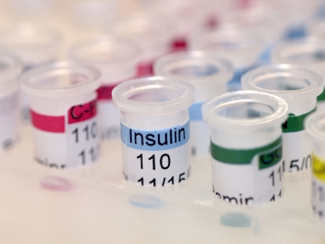 insulin-2