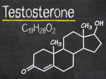 testosteron (12)