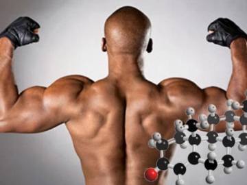 testosteron (5)