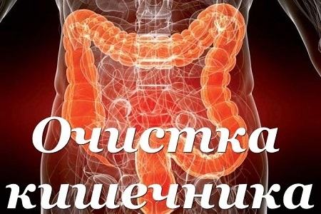 очищения кишечника
