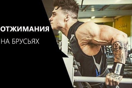 мужчина отжимается на брусьях