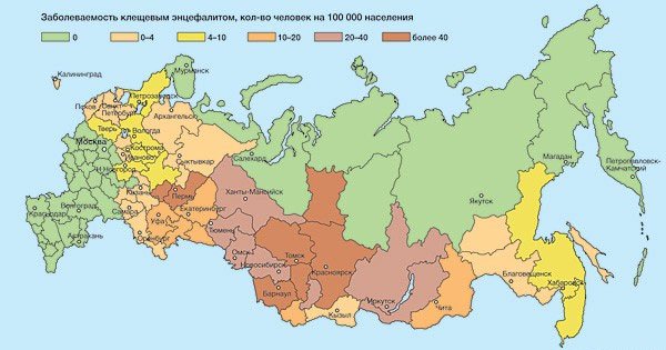 Энцефалит: прививка, симптомы, лечение и профилактика у детей и взрослых.