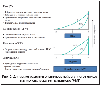Рис. 2. Динамика развития симптомов нейрогенного нарушения мочеиспускания на примере ГАМП