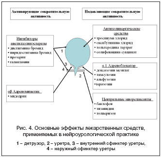 Рис. 4. Основные эффекты лекарственных средств, применяемых в нейроурологической практике