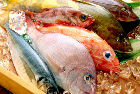 морские сорта рыбы