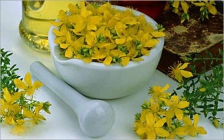 Hypericum в ступке