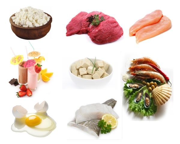изображение продуктов богатых белком