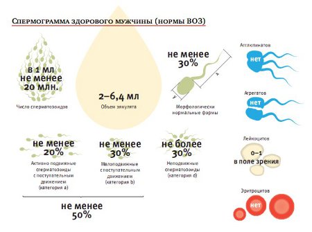 инстаграма злорового эякулята