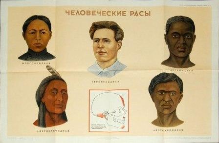 картинка человеческих рас
