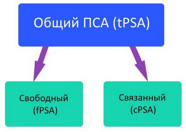 Схема деления анализа на два подвида