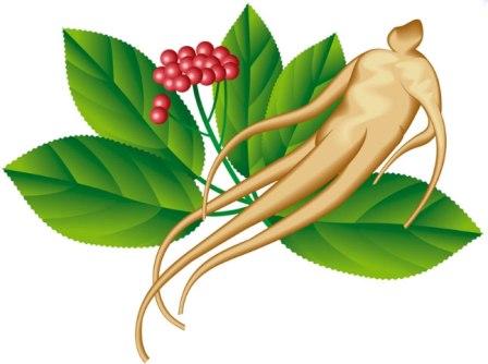 рисунок корня жизни